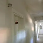 Hotel Mola *