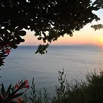 Mola Marmara Adasi