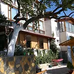 Mola Marmara Adasi