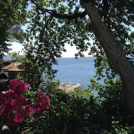 Mola * Marmara Adasi