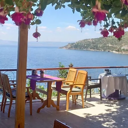 Mola Hotel
