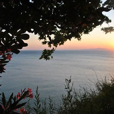 Mola Marmara Adasi