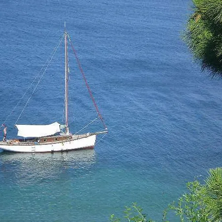 فندق Mola