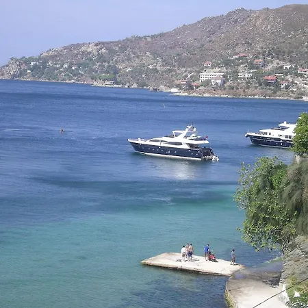 Hotel Mola *